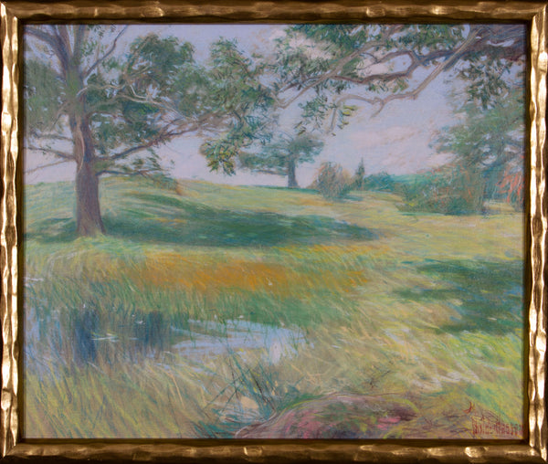 MEADOWS