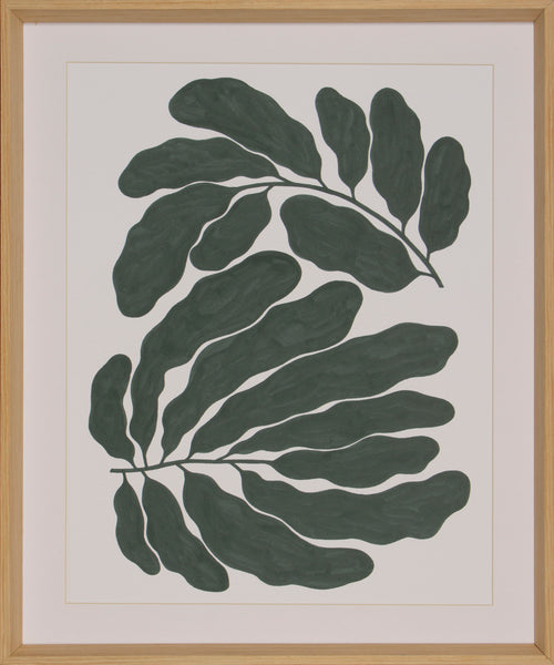 FROND DANCE - CURL