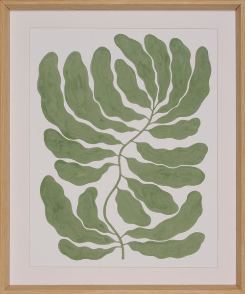 FROND DANCE- FLOW
