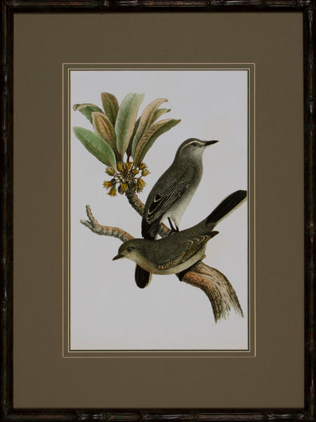 ANTIQUE BIRD TRIO I