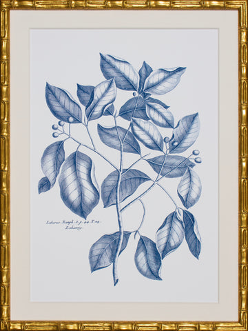 NAVY & LINEN VII
