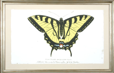 NEW YORK SWALLOWTAIL **EXCLUSIVE**