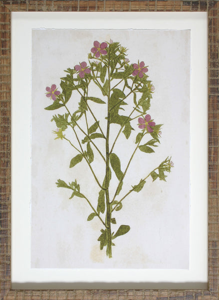 BOTANICAL IMPRESSION II