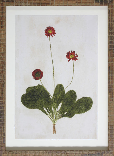 BOTANICAL IMPRESSION III