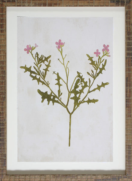 BOTANICAL IMPRESSION VI