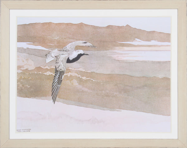 SOARING
