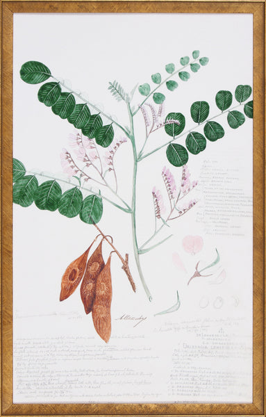 DESCUBES FERN I