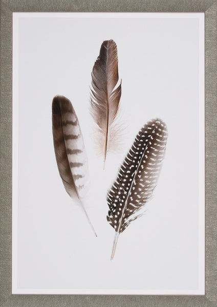FEATHERS I