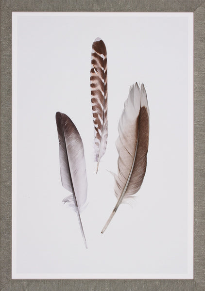 FEATHERS II
