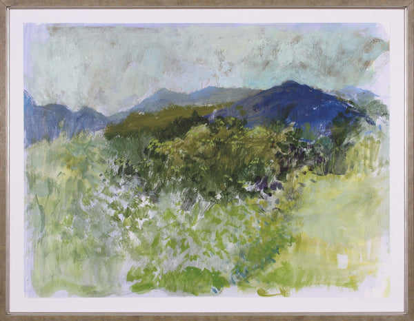 VERDE MOUNTAIN VIEW