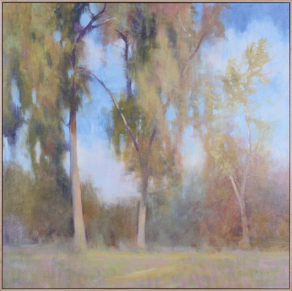 TIMELESS TREES