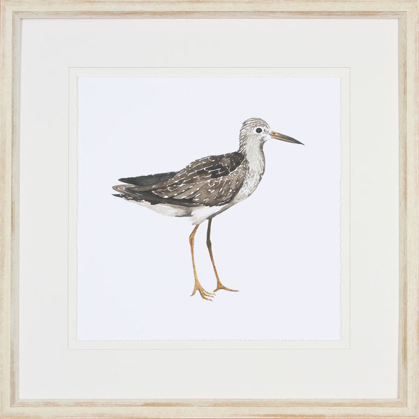 SEA BIRD III