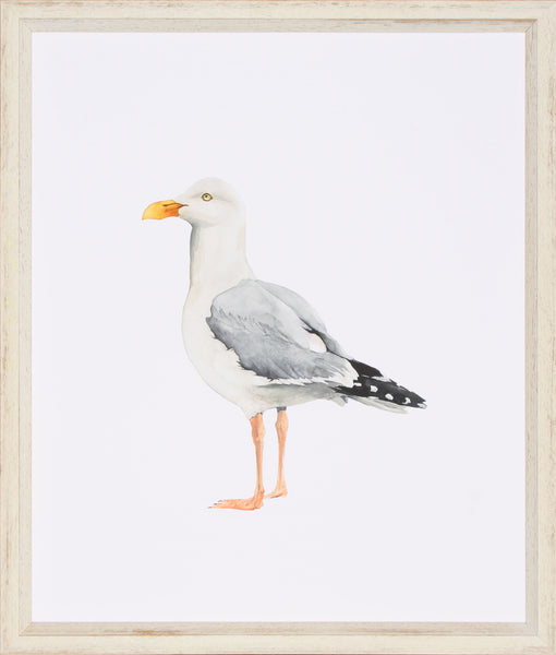SEA BIRD II