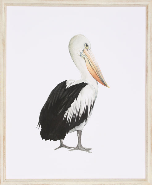 SEA BIRD IV