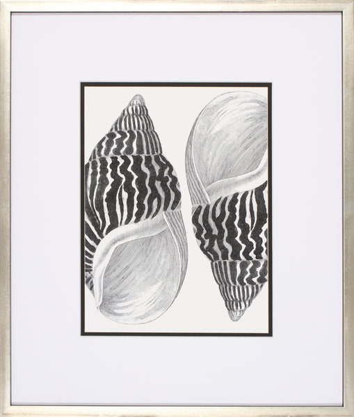COQUILLAGES NOIR II