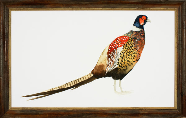 WATERCOLOR PHEASANT I