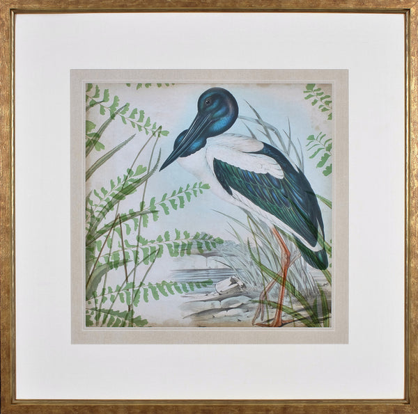 HERON & FERNS I