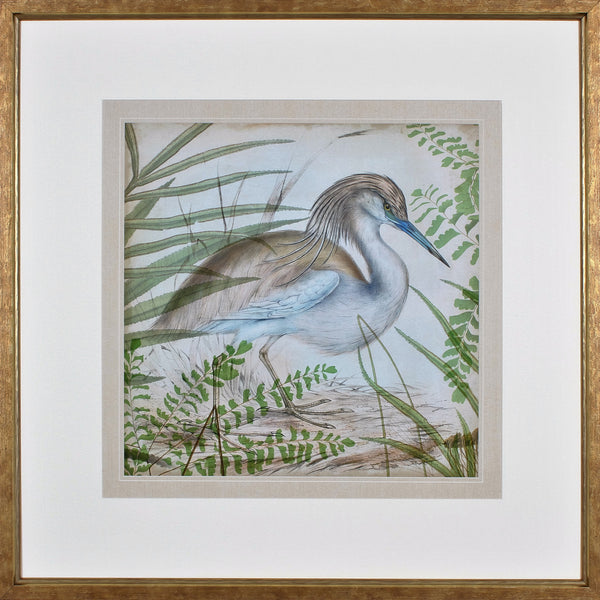 HERON & FERNS II