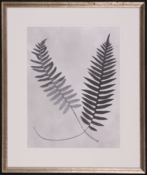 VINTAGE FERN STUDY III