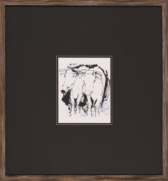COW SKETCH II