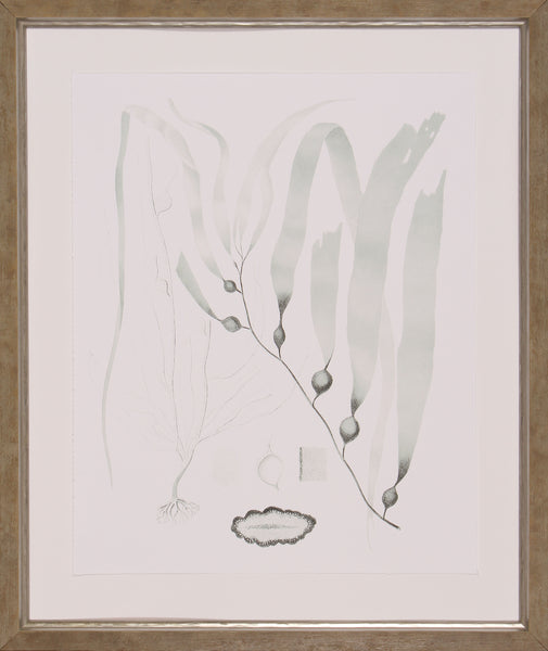SAGE GREEN SEAWEED III