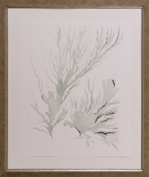 SAGE GREEN SEAWEED IV