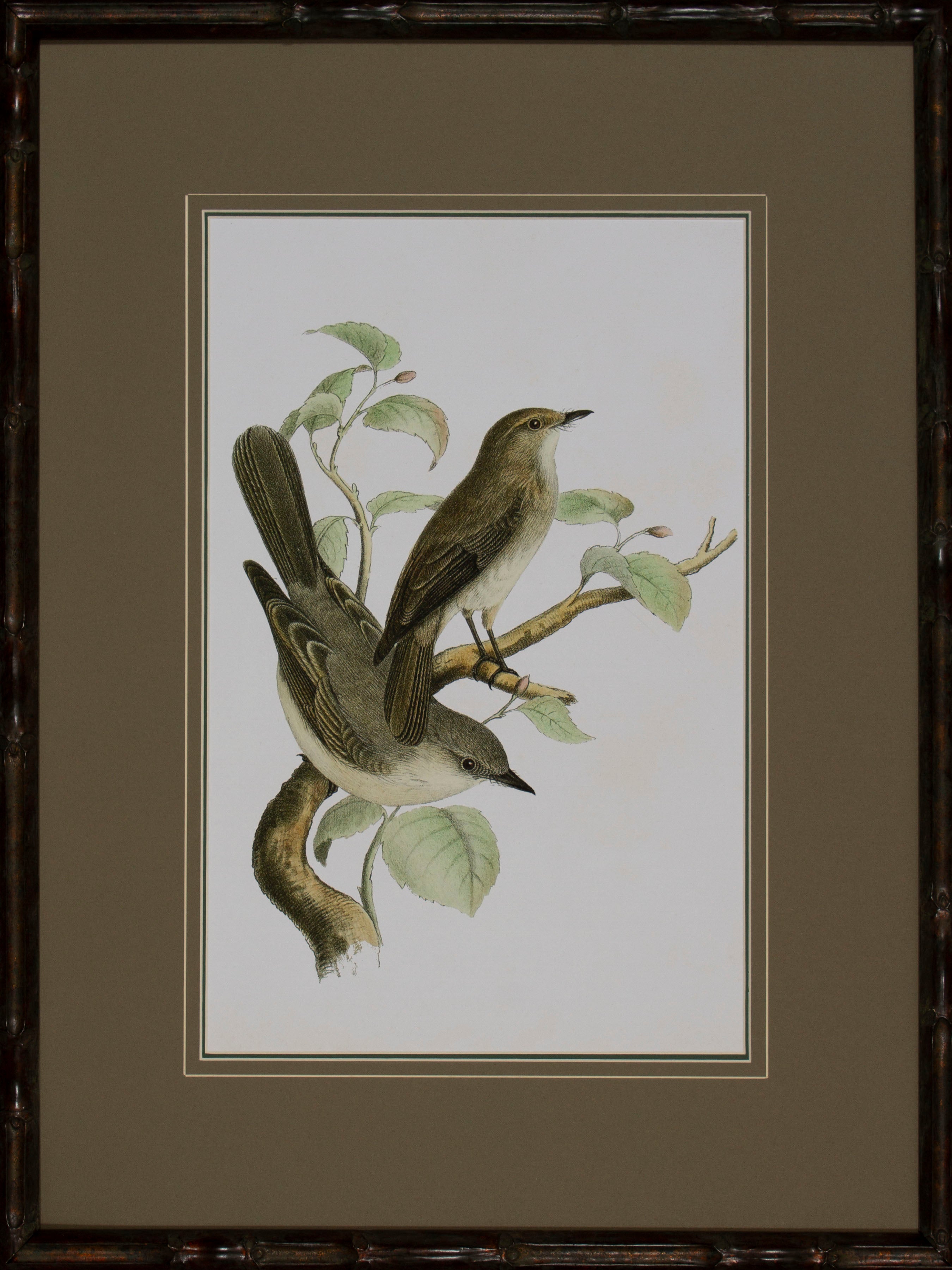 ANTIQUE BIRD TRIO III – Shadow Catchers Art