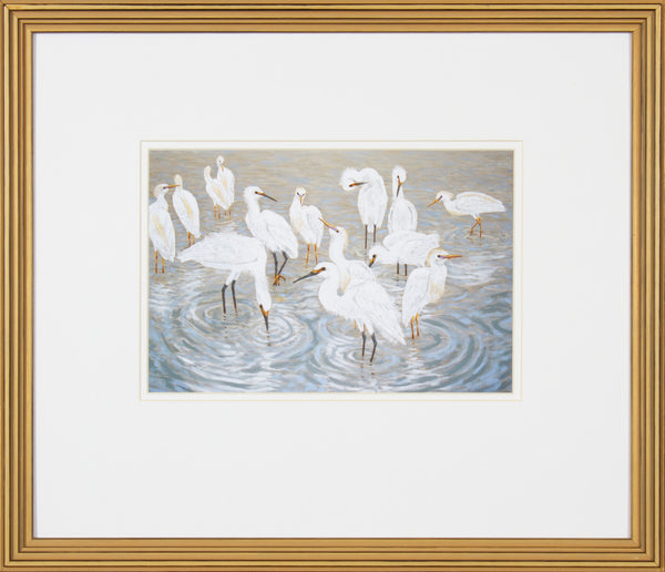 HERONS & EGRETS