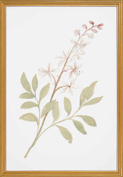 FLORAL STUDY I