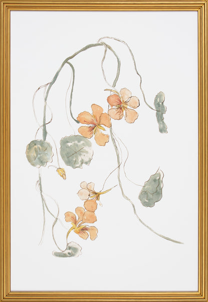 FLORAL STUDY II