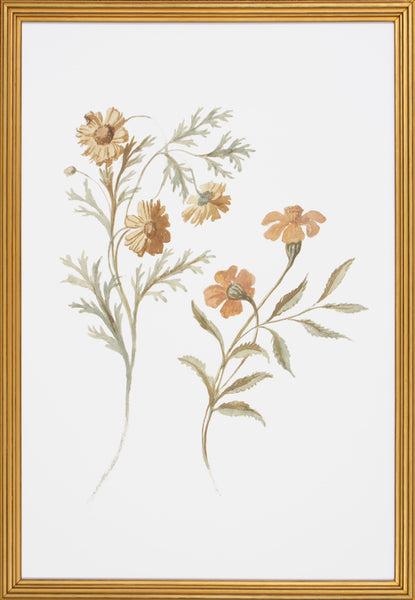 FLORAL STUDY IV