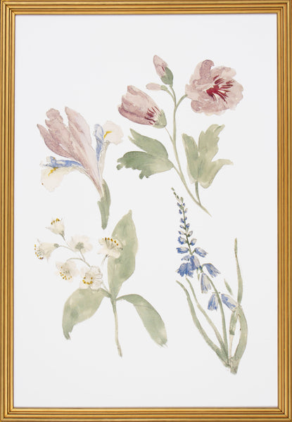 FLORAL STUDY V