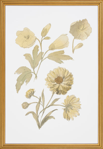 FLORAL STUDY VI