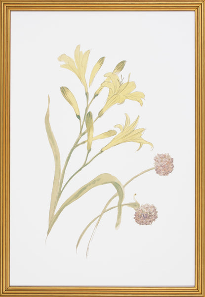 FLORAL STUDY VII
