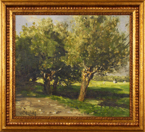 WILLOW TREES