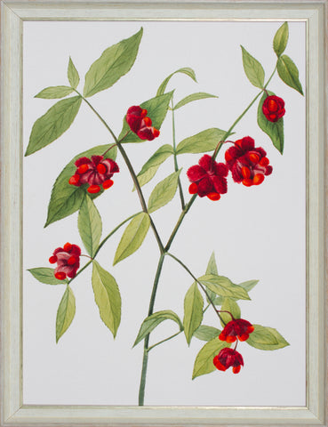 FRUITFUL BRANCH I