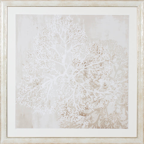 SEA CORAL II