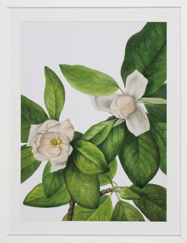 MAGNOLIA I