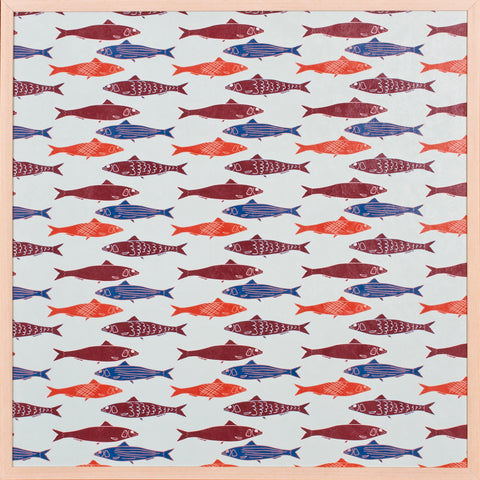 SARDINE IV