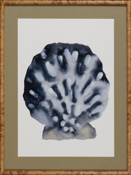 SCALLOP