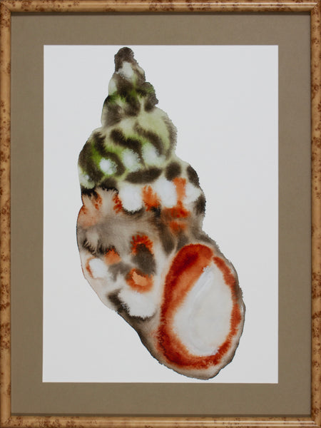 MANGELIA