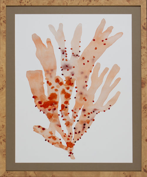 OCHRE CORAL