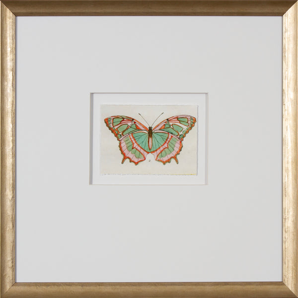 BUTTERFLY STUDY I
