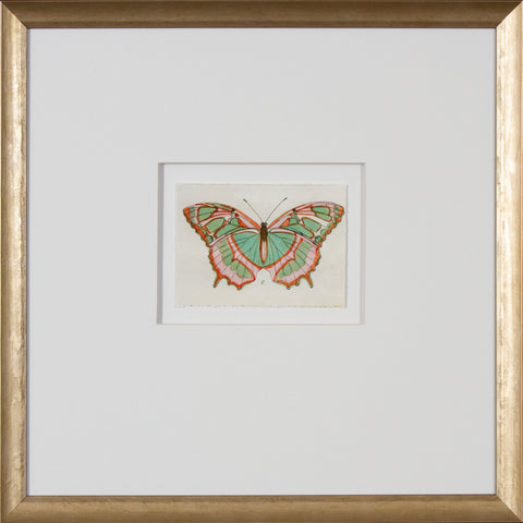 BUTTERFLY STUDY I