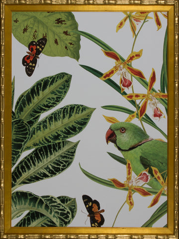 NATURE FLORA