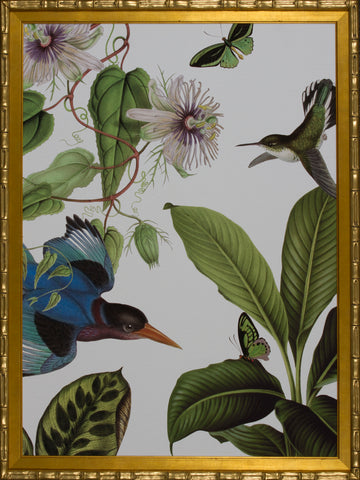 NATURE FAUNA