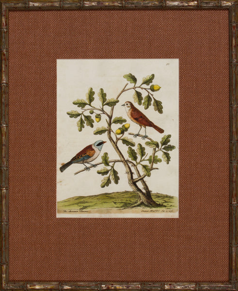 THE PERCH