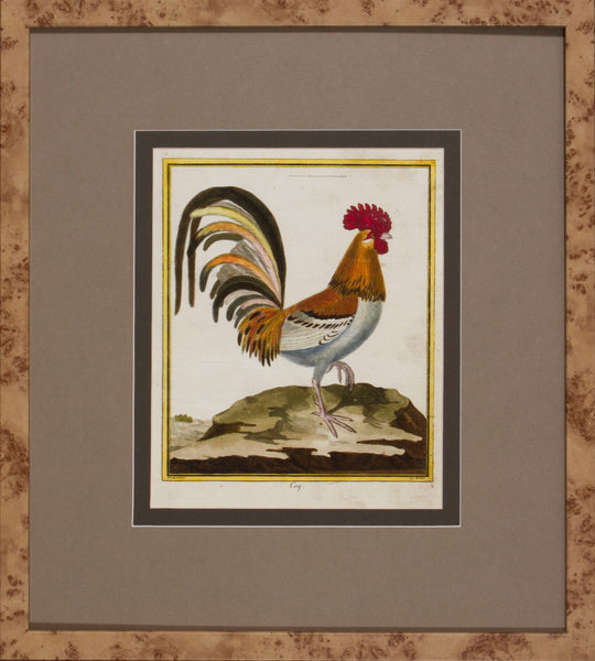 FOWL STUDY II