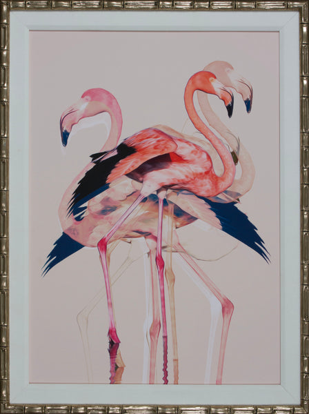FLAMINGOS
