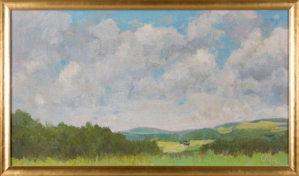 FIELD STUDY